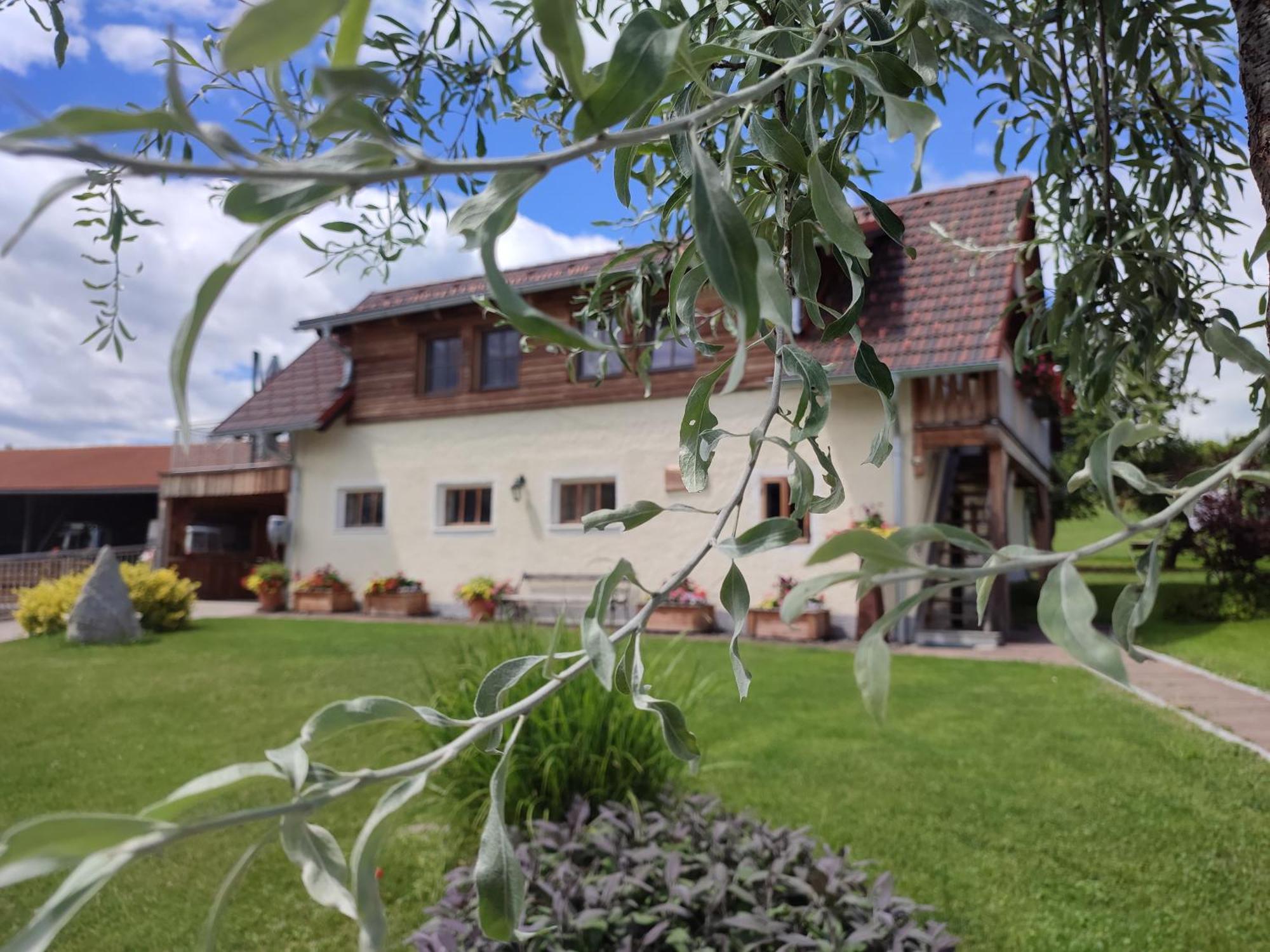Promschhof Διαμέρισμα Semriach Εξωτερικό φωτογραφία