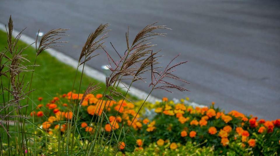 Promschhof Διαμέρισμα Semriach Εξωτερικό φωτογραφία
